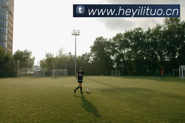 世界杯官方网络平台平台生态图